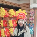 The Flash | 미국 일상) 식스플래그 그레이트 아메리카(Chicago Six flags) 후기 2 - Flash, Goliath, X Flight