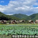 청호공인중개사사무소 이미지