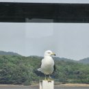 인헤어(inhair) 이미지