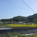 우지낚시터 이미지