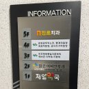 동구청 횡단보도 앞 이미지