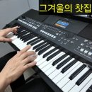 쏠전자올겐