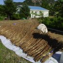 송원농장2 이미지