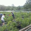 가자농장 이미지