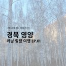 팀 스파르타짐 | [경북 영양 여행] 브리즈브레스 1박 2일 러닝 힐링 프로그램 후기 | BREEZE BREATH EP.01 영양의 숨결