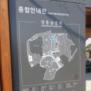 인라인스케이트장 이미지