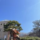 탱스커피 | [하남 검단산 맛집] 햇살좋은 브런치 맛집 ☀️, 슬로스(Slowth) 내돈내산 솔직후기!(신상 카페 추천 🧡)