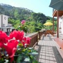 숲속개울가 이미지