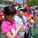 보건대부속유치원 이미지