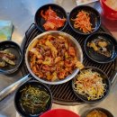 마시안쭈꾸미코다리
