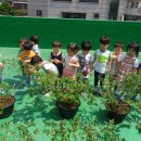 하정농장 이미지