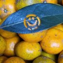 동산농장(2) 이미지