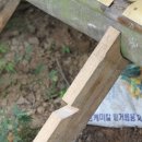 돌집농장 이미지