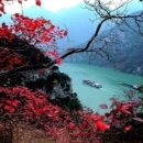 소천로 Daum카페