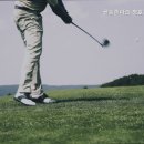 청호스크린골프 네이버블로그