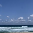 송정농장 이미지