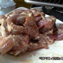 서래갈매기 이미지