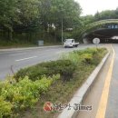 서울숲 무지개터널 앞 이미지