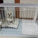 케이지모빌리티(주)본관식당 | 12월 블챌(3)ෆ