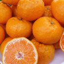 은파농장 이미지