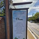 징검다리 이미지