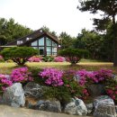 드르니오션리조트 이미지