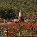 푸른나무 이미지