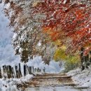 꿈이 있는 곳 이미지