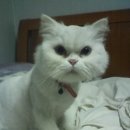 다래동물병원 이미지