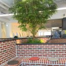 제니아빈 이미지