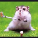 고양이는외계인 이미지