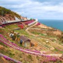 해뜨는 펜션 이미지