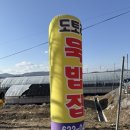 버드묵 | 처음엔 망설였지만, 먹고 나서 가장 기억에 남은 이천 도토리 음식집 버드나무도토리묵밥집 솔직 후기