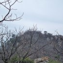 등산로없슴 이미지