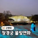 홍화각기 | 창경궁 물빛연화 후기, 대온실 고궁야간개장 3월가볼만한곳