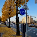 공산성남문길 이미지