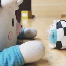 대구FC 귀염둥이 마스코트 '리카'의 돌잔치.jpgif 이미지