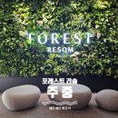 월차 | 리솜 해브나인 스파 | 내돈내산 주중 후기 ♨ 당장 내일도 갈 수 있는 제천 산뷰 노천온천 (네이버 예약ㄱ)