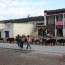 에베레스트 마을 "올드 팅그리의 풍광" 이미지
