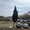 금산곰탕 유가점 이미지