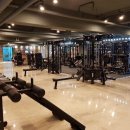 팀샤크