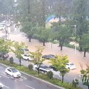 창원남고삼거리 이미지