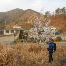 250527.30 - Without You/두근두근/ Living Next Door To Alice/앉으나서나당신생각 이미지