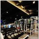 울산헬스기구 | 울산헬스 기구 대기없이? 헌트피트니스 시설 후기