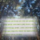 『모든 삶은 흐른다』 로랑스드빌레르 | 책 후기 - 죽지마 죽지마 죽지마 (추천 리뷰·핵심 요약)