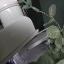 주)예경 | 디예경 학생 일기 + 루나랩 스탠다드 폴 모니터암 후기 + 파주시 단수