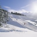 융프라우 이미지