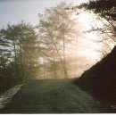 동트는 아침 이미지