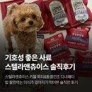퍼피베이크 | 말티푸 퍼피 9개월 기호성 좋은 사료 스텔라앤츄이스 키블 퍼피 동결건조 디너패티 급여 솔직한 후기