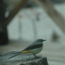 자연사랑펜션 이미지